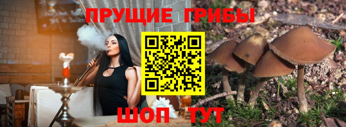Псилоцибиновые грибы мухоморы  Псилоцибиновые грибы Psilocybe  Вход с VPN  Соль-Илецк 
